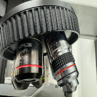 Olympus BX60 Microscope image 3